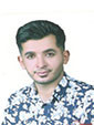 مجتبی دوشانی